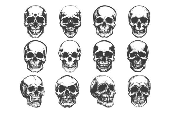 Skull Head Vector SVG Sublimation Bundle Review
